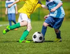 华裔乒乓球,金牌得主遭,遇惨痛,广州赛马,赛程安排,赛果查询,马匹资料,赛事动态