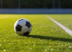 华裔乒乓球,金牌得主遭,遇惨痛,广州赛马,赛程安排,赛果查询,马匹资料,赛事动态