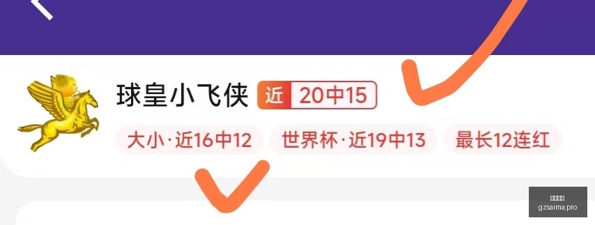 电竞焦点战,激战正酣,比分悬念持,广州赛马,赛程安排,赛果查询,马匹资料,赛事动态