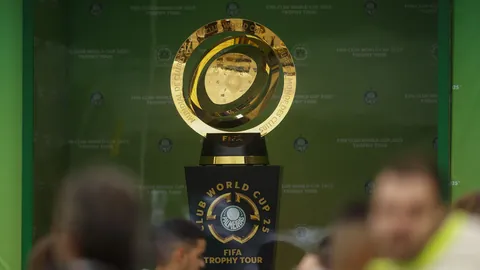 星火闪耀：海外新兴力量