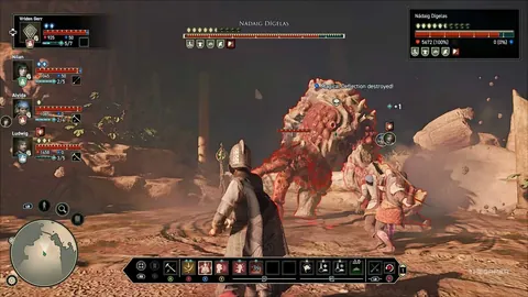 新春外贸活力四溢，各地竞展新春辉煌画卷